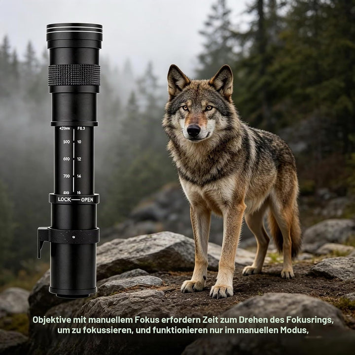 JINTU 420–800mm Super-Telezoom Objektiv Manueller Fokus für Canon EOS DSLR-Kameras 2000D 4000D 5000D