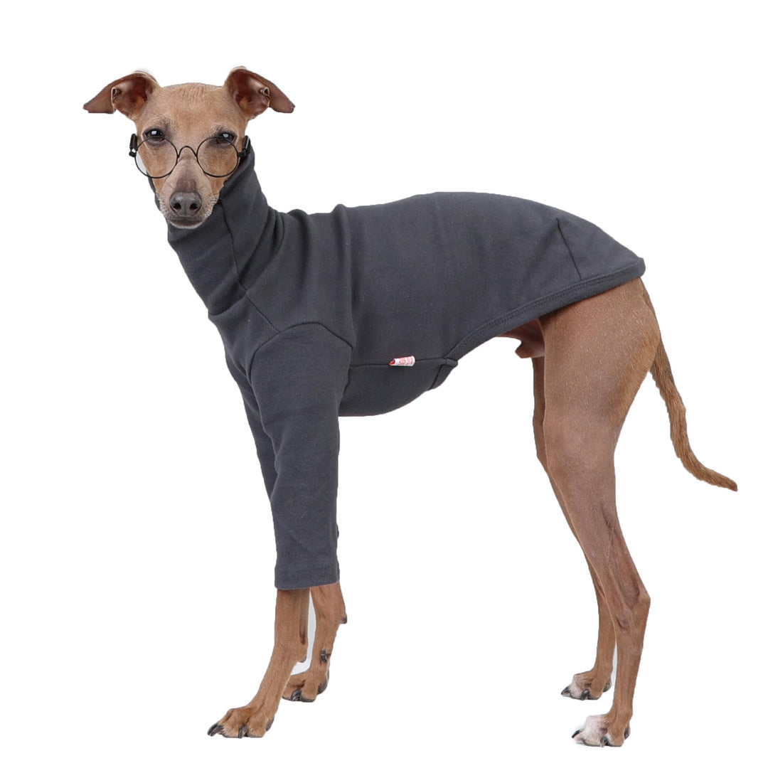 D Doggy Star Italienische Windhunde, flexible T-Shirts für Hunde, Grösse S, Dunkelgrau, Dunkelgrau S