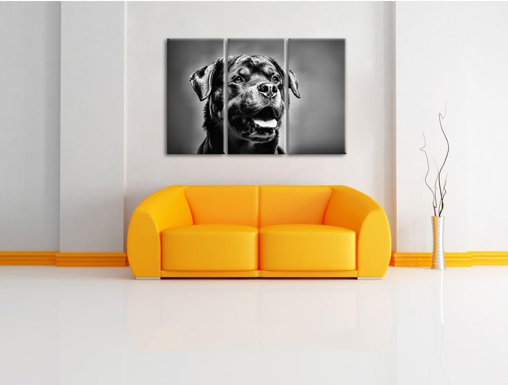Pixxprint Treuer Rottweiler als Leinwandbild | Grösse: 3 Teilig (120x80) | Wandbild| Kunstdruck | fe