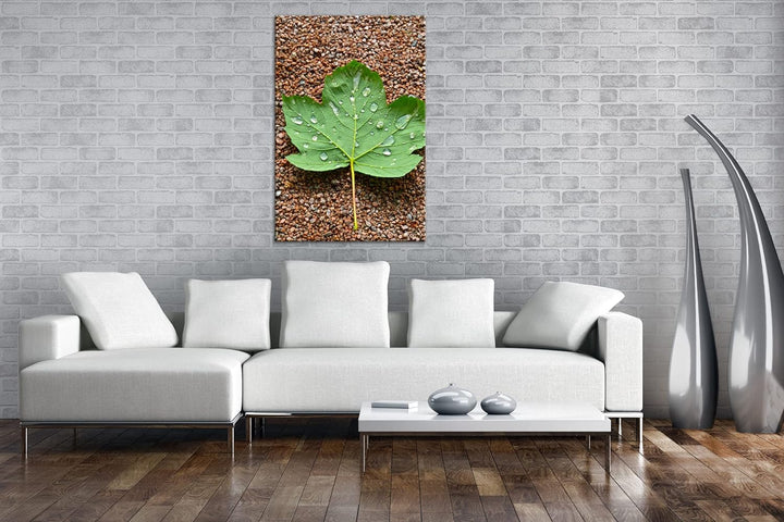 deyoli grünes Ahornblatt mit Tropfen im Format: 80x60 als Leinwandbild, Motiv fertig gerahmt auf Ech