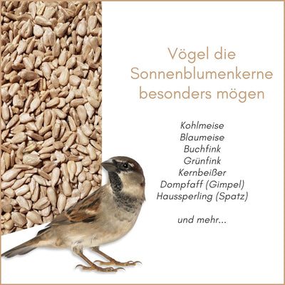 SUPRAVIT Sonnenblumenkerne Vogelfutter 25kg geschält I Frische ölhaltige Kerne aus besten Anbaugebie