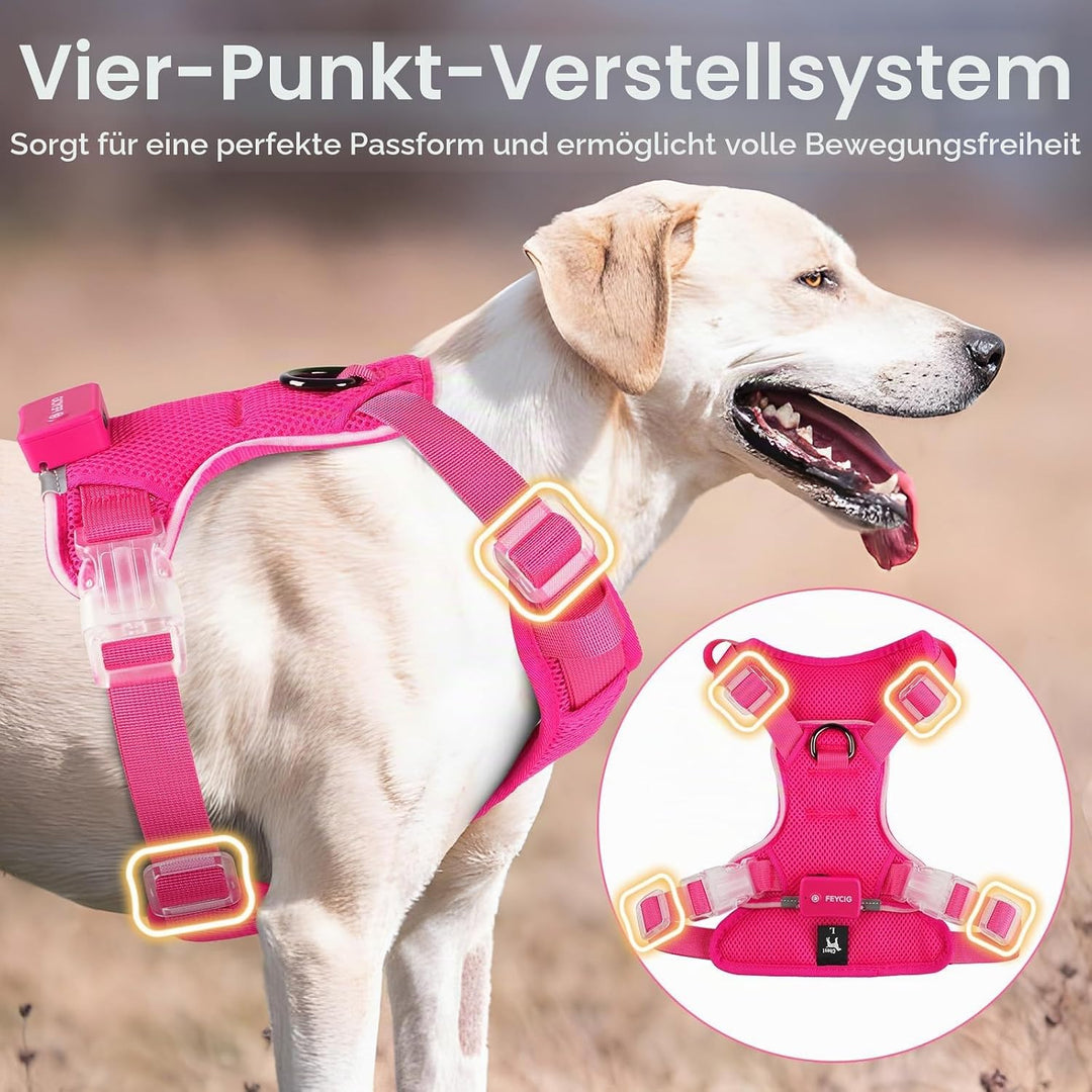 Light Up Dog Hundegeschirr Leuchtend LED Aufladbar - Leuchtgeschirr Leuchtend für Klein Mittelgrosse