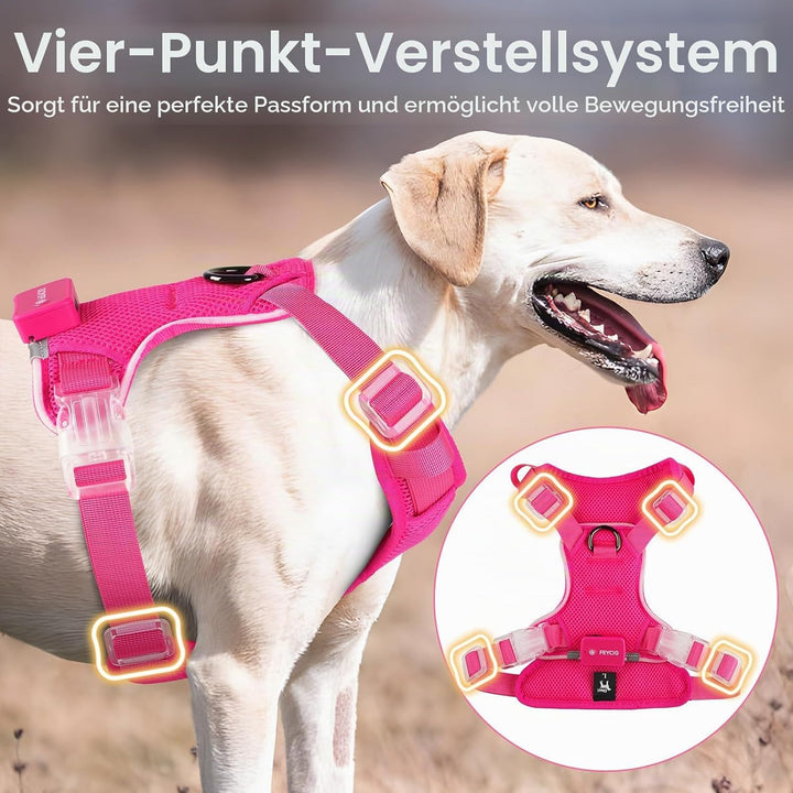 Light Up Dog Hundegeschirr Leuchtend LED Aufladbar - Leuchtgeschirr Leuchtend für Klein Mittelgrosse