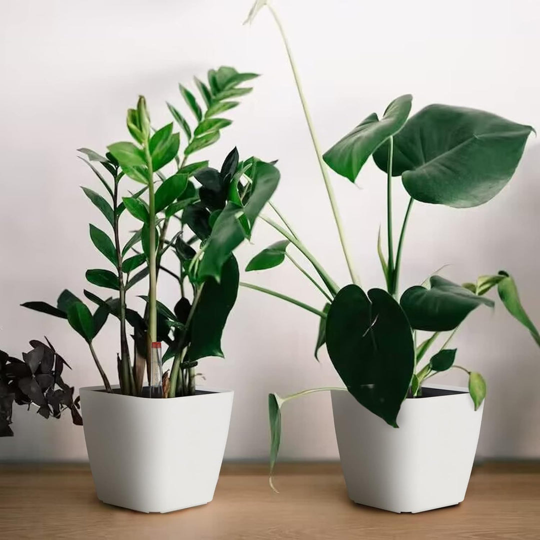 CPROSP 6X Selbstbewässerungstopf mit Wasserstandsanzeigen, Kräutertopf Selbstbewässernd 13,7 * 13,5