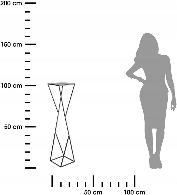 HowHomely Blumenständer Metall 100 x 24 cm - Solider und Minimalistischer Blumenhocker - Schwarz Pfl