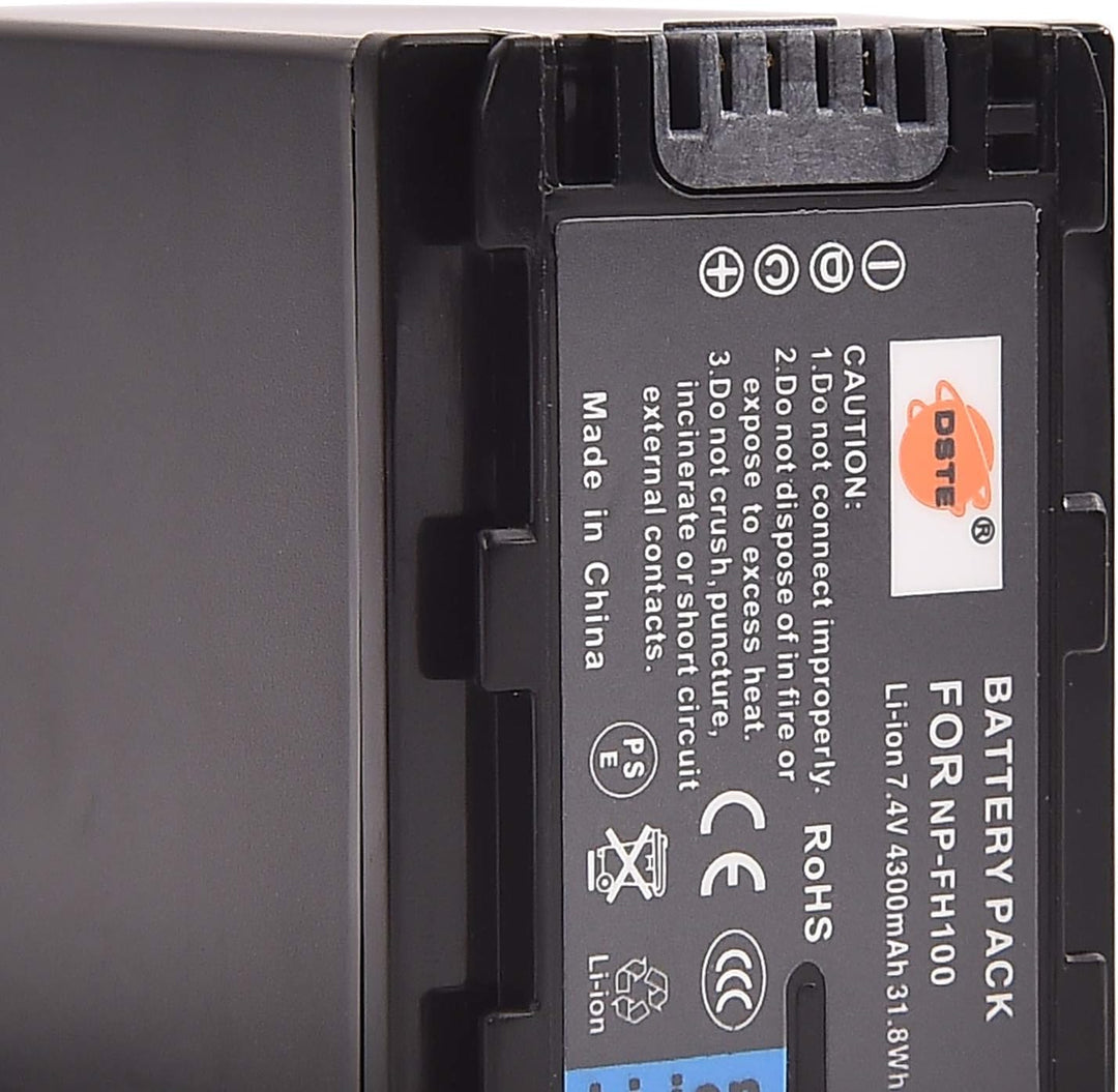 DSTE 2-Stück Ersatzakku Set NP-FH100 Batterie kompatibel mit Sony DCR-DVD103 DCR-DVD105 DCR-DVD105E