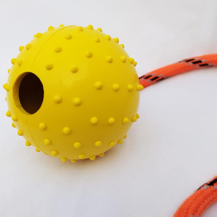 2Pcs Ball am Seil für Hunde und Katzen，trainingsball mit Seil,Hohlkugel aus Naturgummi Für Apportier