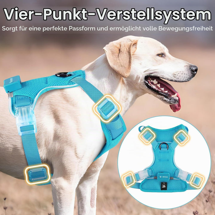 Light Up Dog Hundegeschirr Leuchtend LED Aufladbar - Leuchtgeschirr Leuchtend für Klein Mittelgrosse