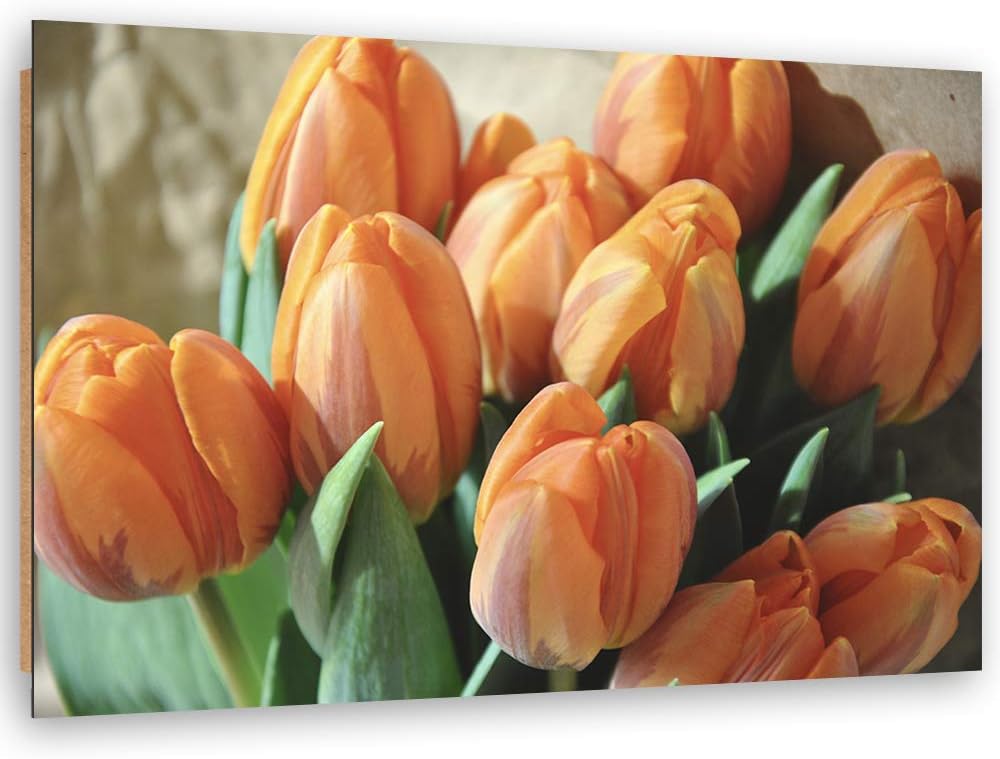 Feeby Wanddeko Tulpen Bild Kunstdruck modern Pflanze Orange 80x60 cm Deko Paneel 80x60 cm Orange_B,