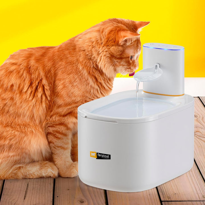 Ferplast Katzenbrunnen Kabellos Astra, Trinkbrunnen für Katze, wiederaufladbarer Katzen Trinkbrunnen
