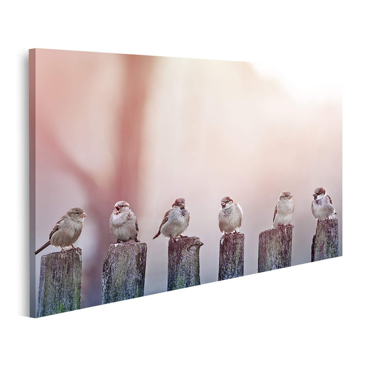islandburner Bild auf Leinwand Spatzen Sonnenlicht Pfähle Bilder Wandbilder Poster, 80L x 40B cm