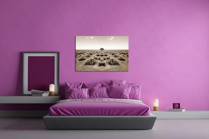 deyoli einsamer Baum in unfruchtbaren Wüste Format: 120x80 Effekt: Sepia als Leinwandbild, Motiv fer