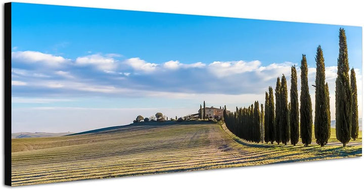 Paul Sinus Art Panoramabild auf Leinwand und Keilrahmen 150x50cm Italien Toskana Landschaft Zypresse