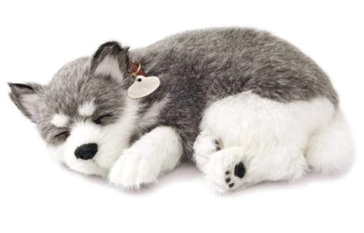 Perfect Petzzz Hundewelpe Alaskan Husky, atmet the Breathing Puppy
