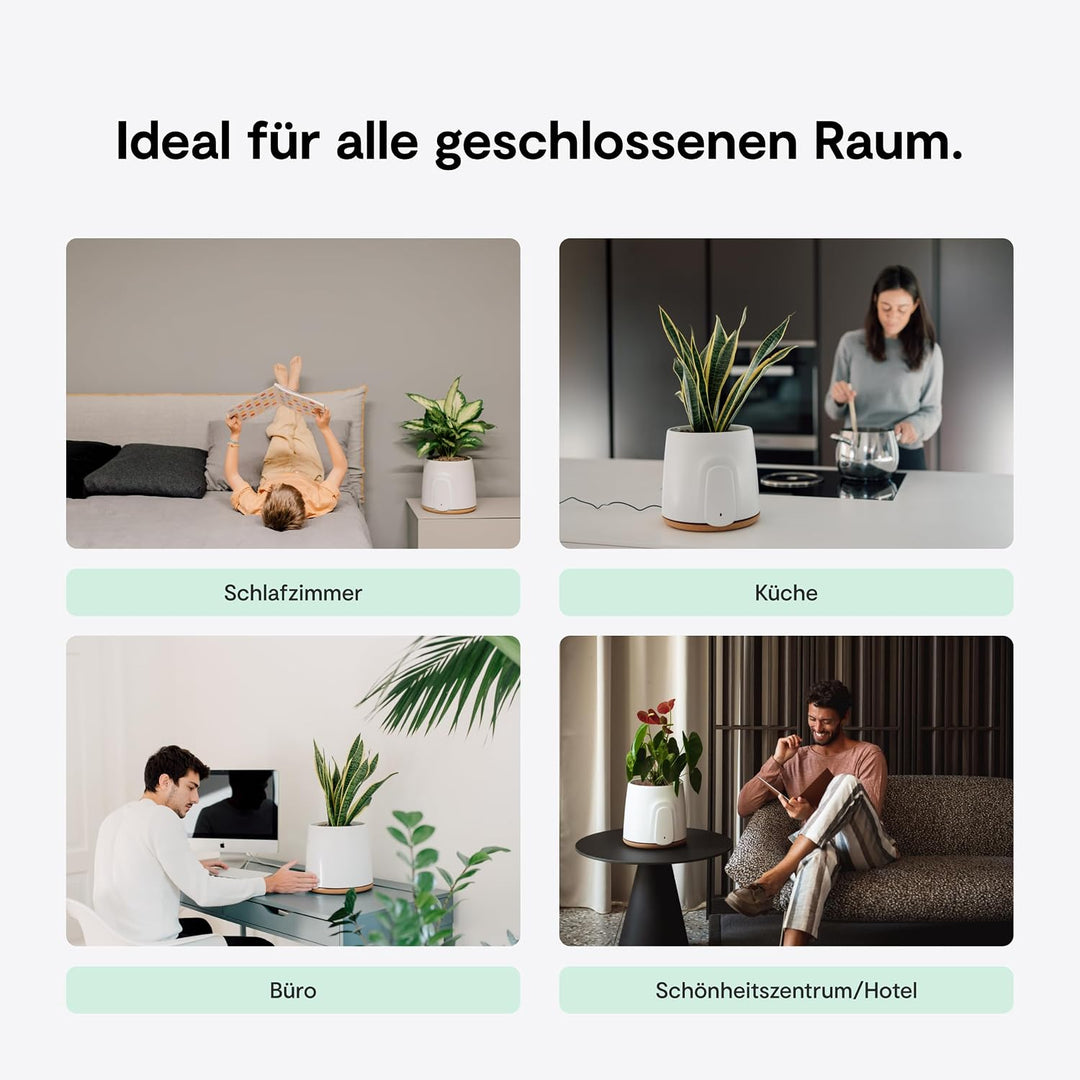 VITESY NATEDE BASIC Luftreiniger ohne Filterwechsel | -99% der Bakterien, Mikroben, Schimmel, VOCs u