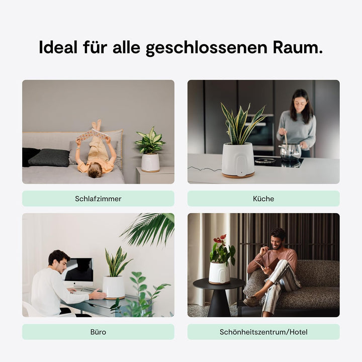 VITESY NATEDE BASIC Luftreiniger ohne Filterwechsel | -99% der Bakterien, Mikroben, Schimmel, VOCs u
