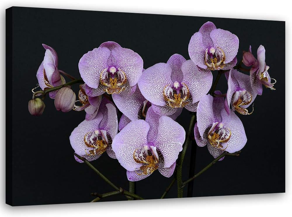 Leinwandbild XXL Orchideen Wandbild Kunst für Schlafzimmer Violett 120x80 cm Leinwandbild 120x80 cm