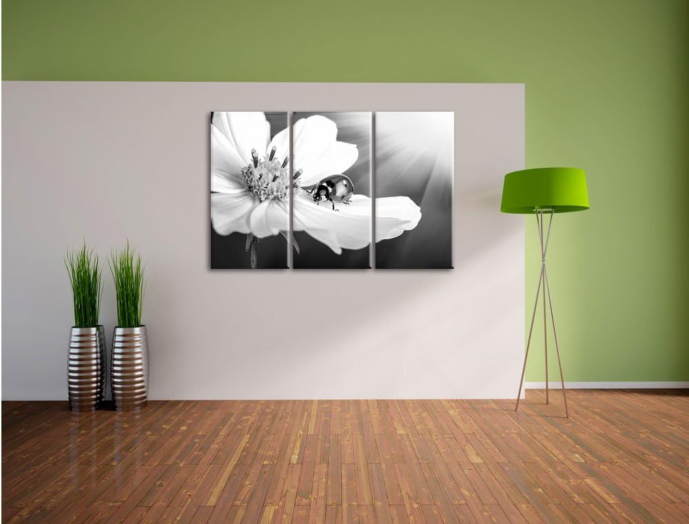 Pixxprint Marienkäfer auf Einer Blume / 3-Teilig/Gesamtmass 120cm Leinwandbild bespannt auf Holzrahm