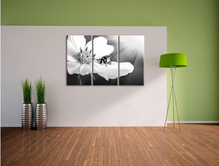 Pixxprint Marienkäfer auf Einer Blume / 3-Teilig/Gesamtmass 120cm Leinwandbild bespannt auf Holzrahm