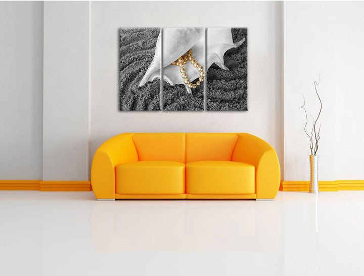 Pixxprint Muschel Perlenkette als Leinwandbild/Grösse: 3 Teilig (120x80 cm) cm/Wandbild/Kunstdruck/f