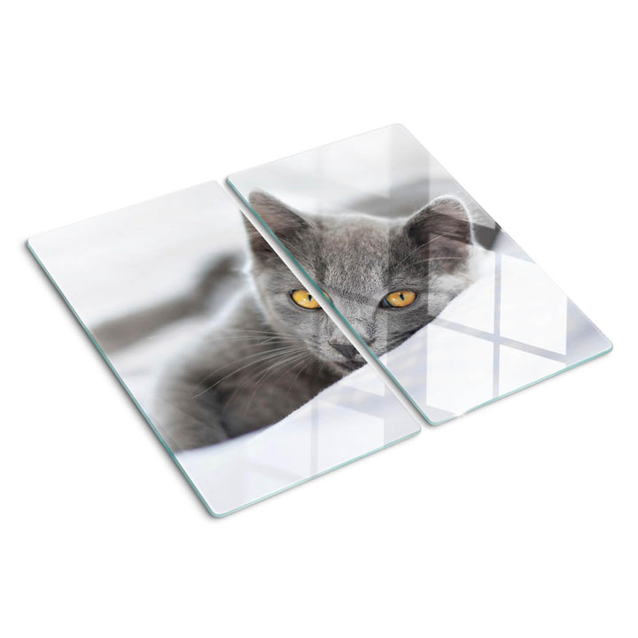 Schneidebretter Glas 2x30x52 cm für die Küche Plastikfrei 2 Stück Glasplatte Hitzebeständig Rutschfe