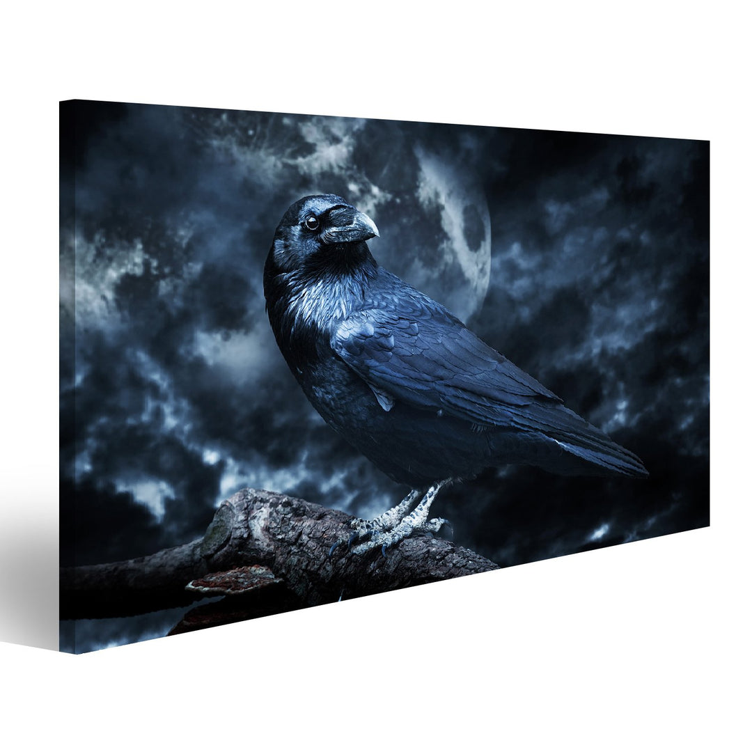 islandburner Bild Bilder auf Leinwand Schwarzer Rabe im Mondschein hockte auf Baum. Gruselig Wandbil