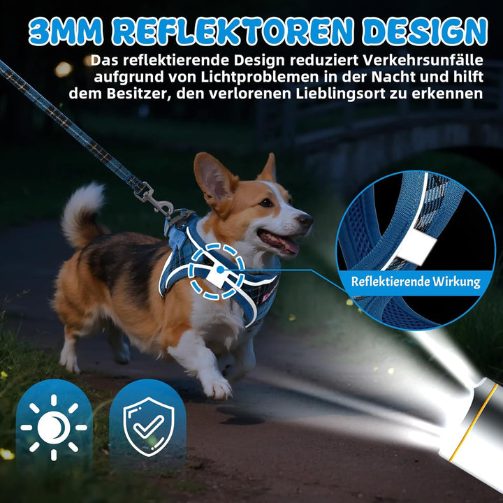 Hundegeschirr Kleine Hunde mit Leine, Verstellbares Step-In Welpengeschirr, Reflektierendes, Atmungs