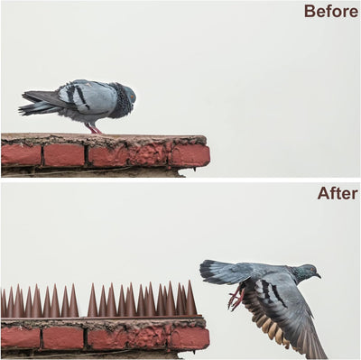 EXLECO 30Pcs Vogelabwehr aus Kunstoff, 10 Meter 3 Reihig Taubenabwehr Tierabwehr, länger Vogel Spike