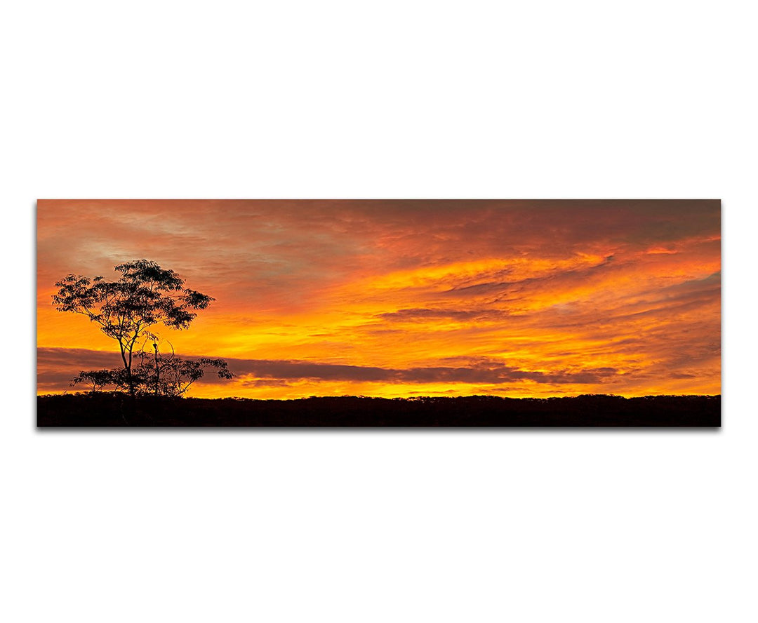 Panoramabild auf Leinwand und Keilrahmen 120x40cm Australien Wiese Baum Sonnenuntergang