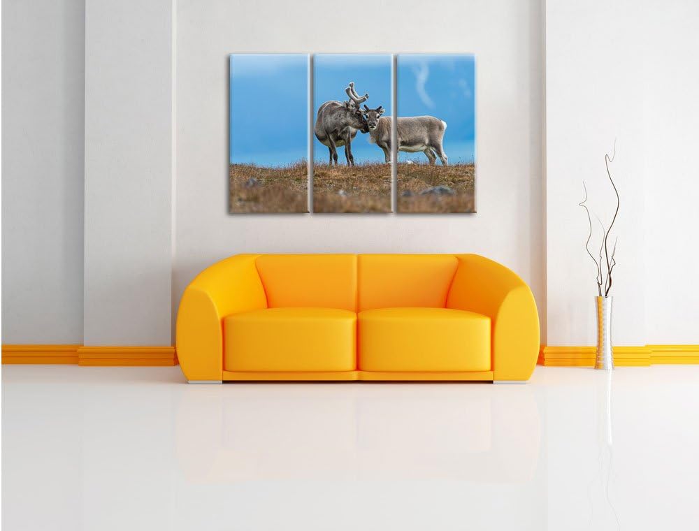 Pixxprint Rentiere die miteinander schmusen als Leinwandbild | Grösse: 3 Teilig (120x80) | Wandbild|