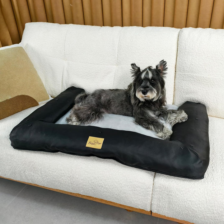 BingoPaw Hunde Autositz für grosse Hunde, 3-in-1 Verstärkter Autositz mit Befestigungsgurten, wasser