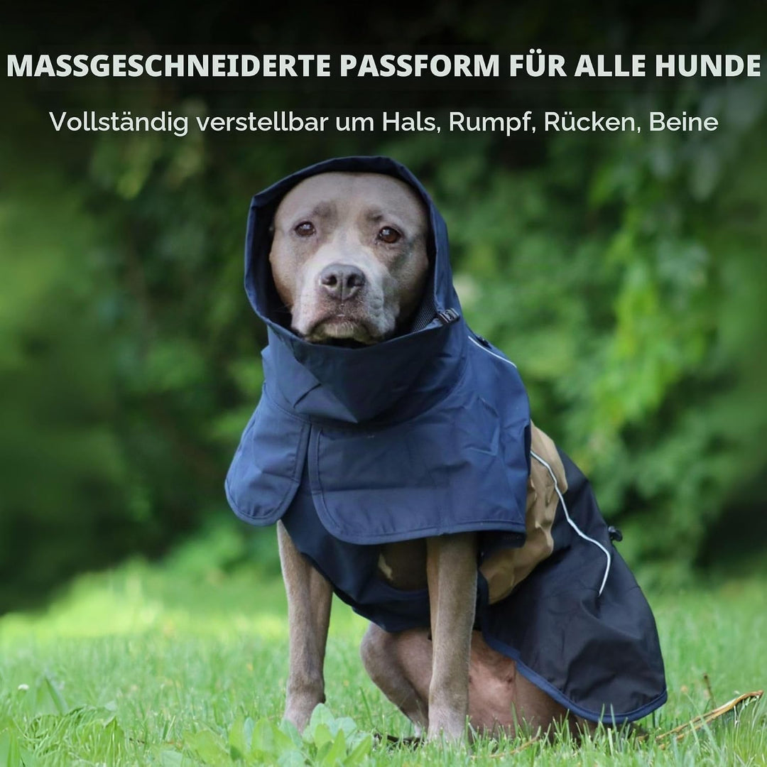 Spark Paws Hunderegenmantel, wasserdichte Winddichte Regenjacke Blue Gold Black L, Blue Gold Black L