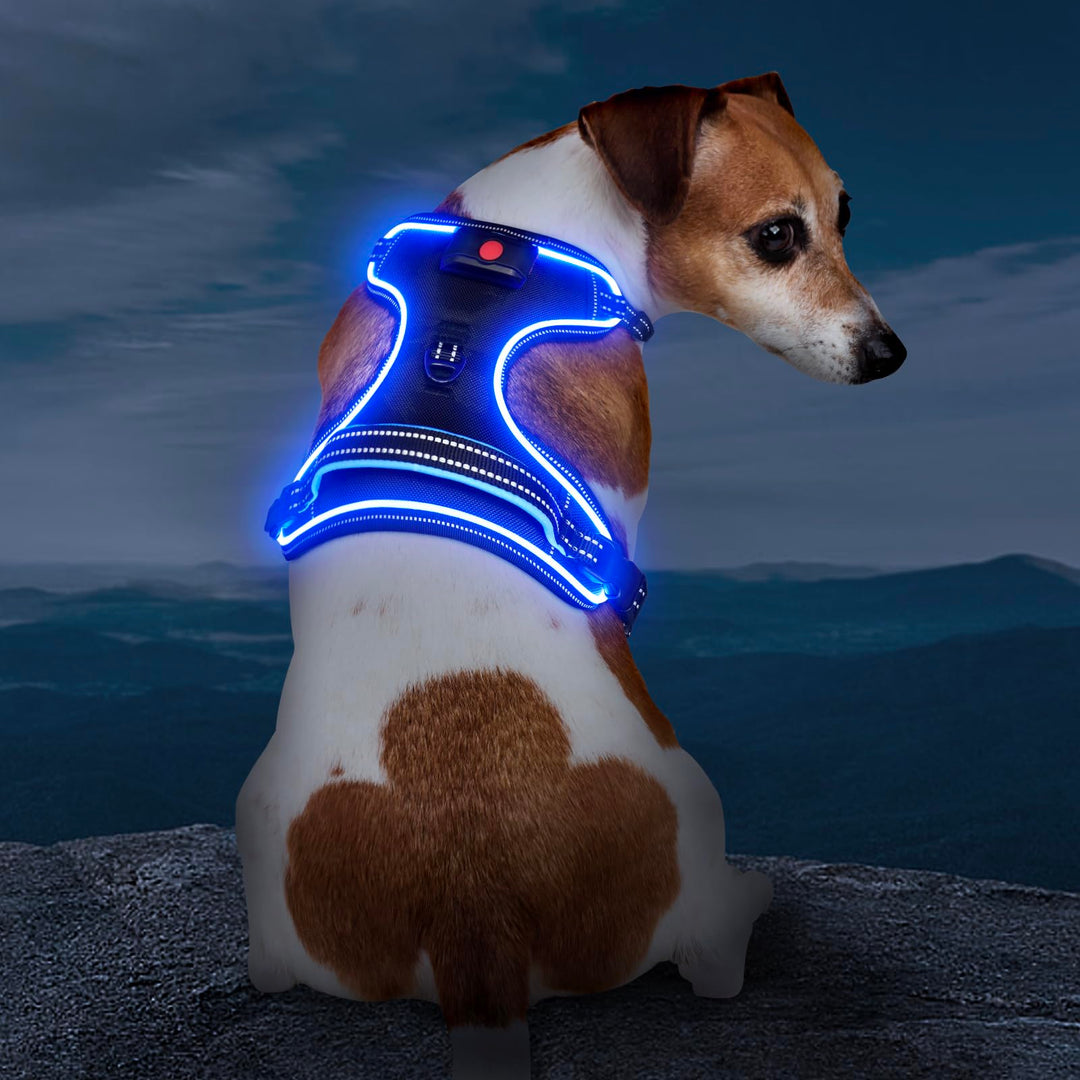 Hundegeschirr Leuchtend Wiederaufladbares Leuchtgeschirr für Hunde Led Beleuchtetes Hundegeschirr fü