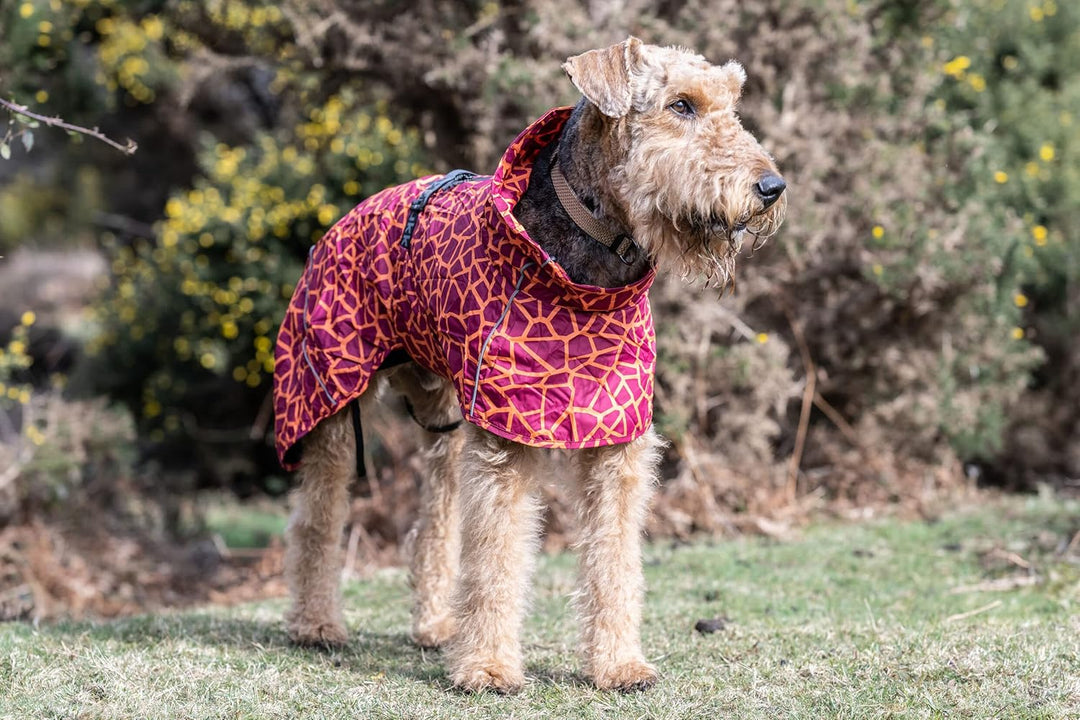 Rukka Pets HAYTON WARM Raincoat Regenmantel für Hunde Karminrot 60 60 Karminrot, 60 Karminrot