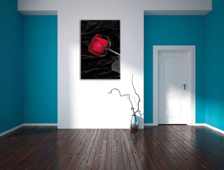 Pixxprint rote Rose gebettet auf schwarzem Samt als Leinwandbild/Grösse: 100x70 cm/Wandbild/Kunstdru