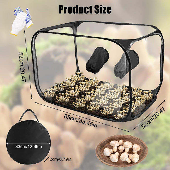 Pilzzucht-Set faltbar, Still Air Box | 85 x 52 x52 cm transparentes Pilzzuchtzelt | Tragbares Pop-Up