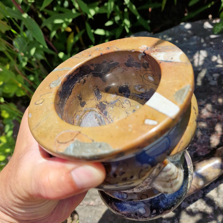 Budawi® Orthoceras Gewürz Mörser mit Stössel – Handgefertigter Küchenmörser aus Naturstein – Fossile