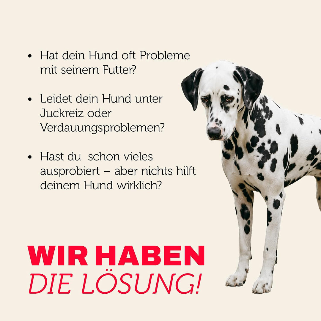 MERA pure sensitive Fresh Meat Truthahn &amp; Kartoffeln, Hundefutter trocken mit viel frischem Fleisch,