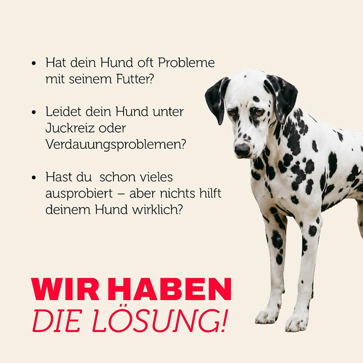 MERA pure sensitive Fresh Meat Truthahn &amp; Kartoffeln, Hundefutter trocken mit viel frischem Fleisch,