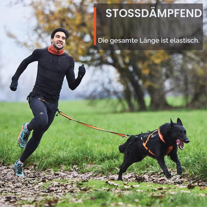 Non-stop dogwear Bungee Leash 2.0 | 2,8m | 1641 | bikejøring, Scootering, skijøring