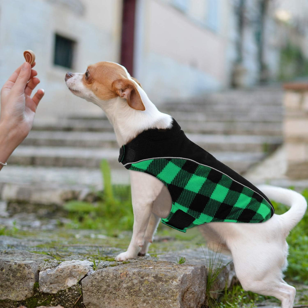 CITÉTOILE Warme Hundemantel Winter mit Bauchschutz Grün S | Wendbare Hundejacke mit Geschirrloch, Wi
