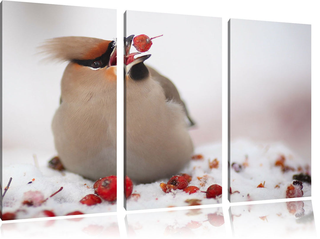 Pixxprint Kleiner Vogel im Schnee 3-Teiler Leinwandbild 120x80 Bild auf Leinwand