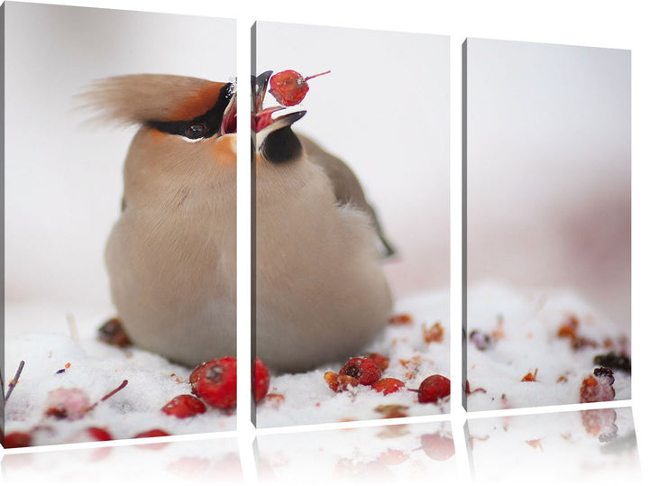 Pixxprint Kleiner Vogel im Schnee 3-Teiler Leinwandbild 120x80 Bild auf Leinwand