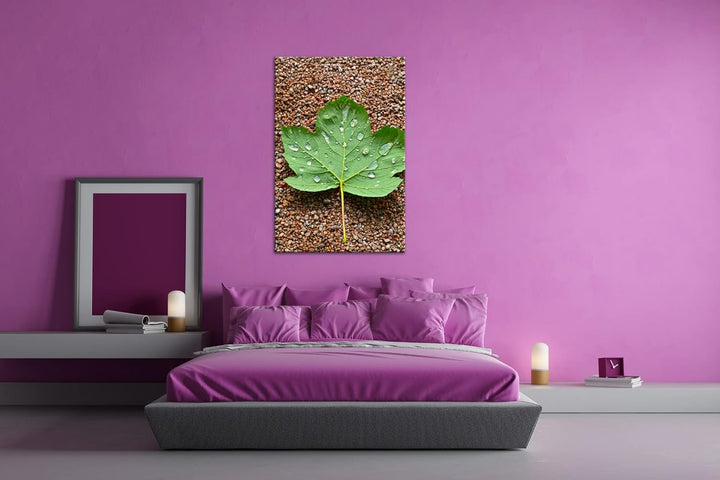 deyoli grünes Ahornblatt mit Tropfen im Format: 80x60 als Leinwandbild, Motiv fertig gerahmt auf Ech