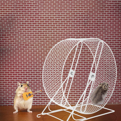 Mikikit Laufrad Für Hamster Kleines Hamsterrad Ratten-übungsrad Laufrad Metall Nager Hamsterball 10