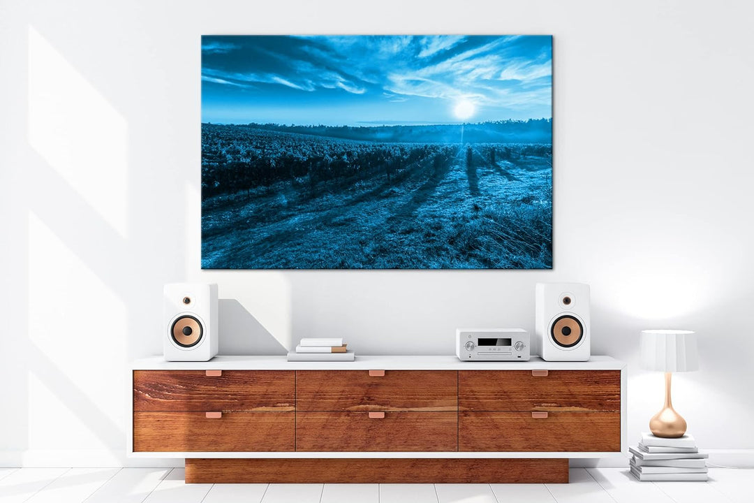 Traubenfeld in der Toskana Format 100x70 Effekt: Monocrome Blau als Leinwandbild, Motiv fertig gerah