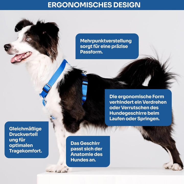 Chaba Guard Hundegeschirr Mittelgrosse Hunde Anti Zug & Würgen Geschirr Hund mit Kontrolle Classic S