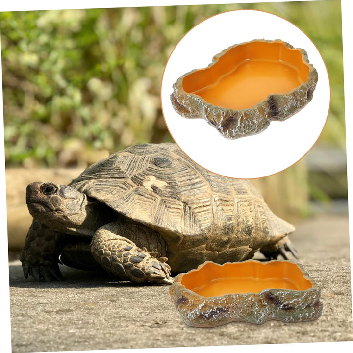 POPETPOP Schildkröte Wasserfütterung Reptil Wassernapf Futternapf Becken Eidechse Futternapf Terrari