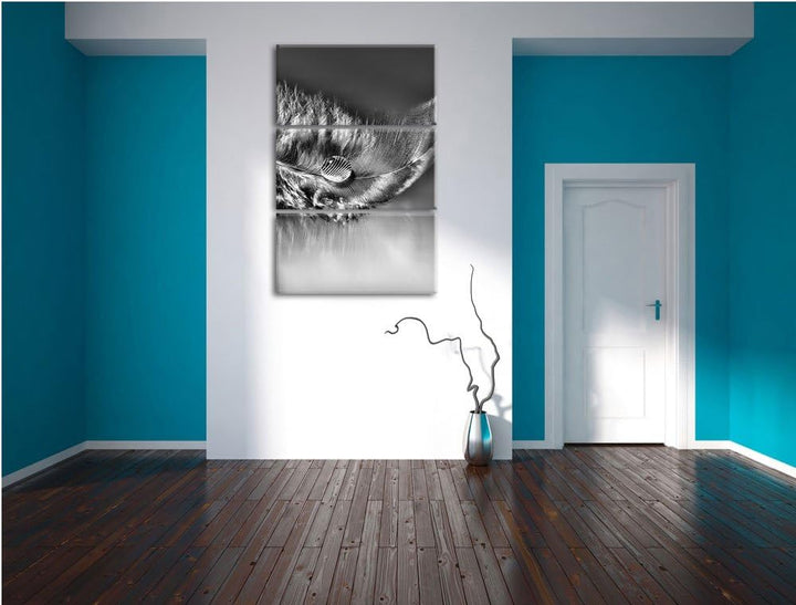 Pixxprint Wassertropfen auf Feder als Leinwandbild | Grösse: 3 Teilig (120x80) | Wandbild| Kunstdruc