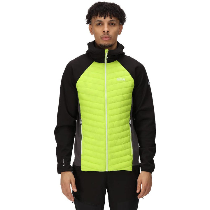 Regatta Herren Andreson VII Hybrid Hybridjacke, Schwarz, XXL XXL Bright Kiwi, XXL Bright Kiwi